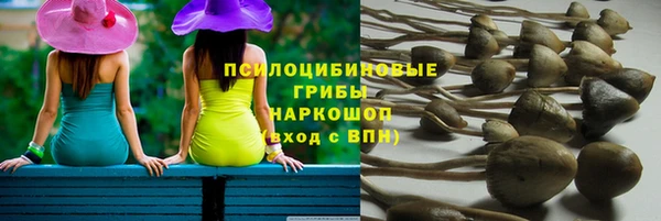 экстази Вяземский