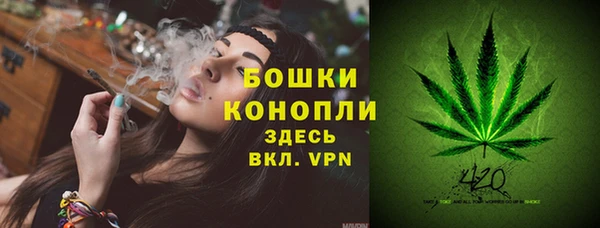 молекула духа Вязники