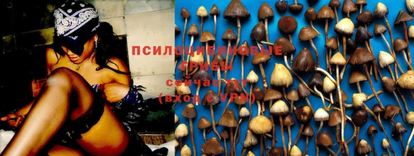 молекула духа Вязники