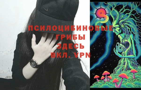 экстази Вяземский